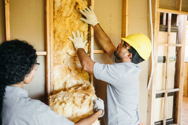 Best Home Insulation Services  in Harkers Island, NC