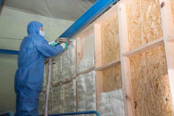 Best Insulation Contractor Near Me  in Harkers Island, NC